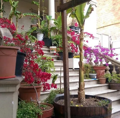 Πανσιόν Acropolis Βαρκελώνη